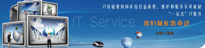 中國IT服務(wù)外包的基本特征 